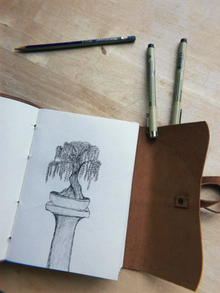 Bonsai Drawing