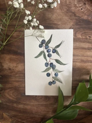 watercolor blueberries